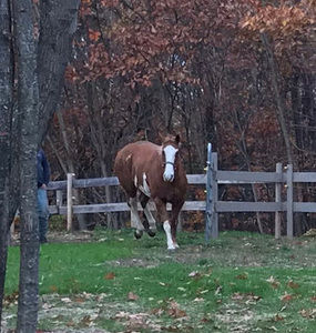 Meet your Posher, Sierra